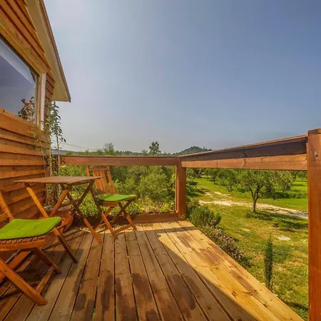 Terra Vine Collection - Leaf Vanáto