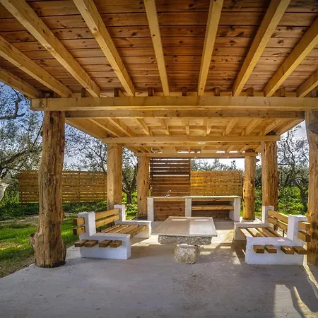 Terra Vine Collection - Leaf * Vanato